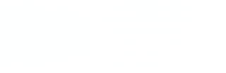 Dubrovački simfonijski orkestar